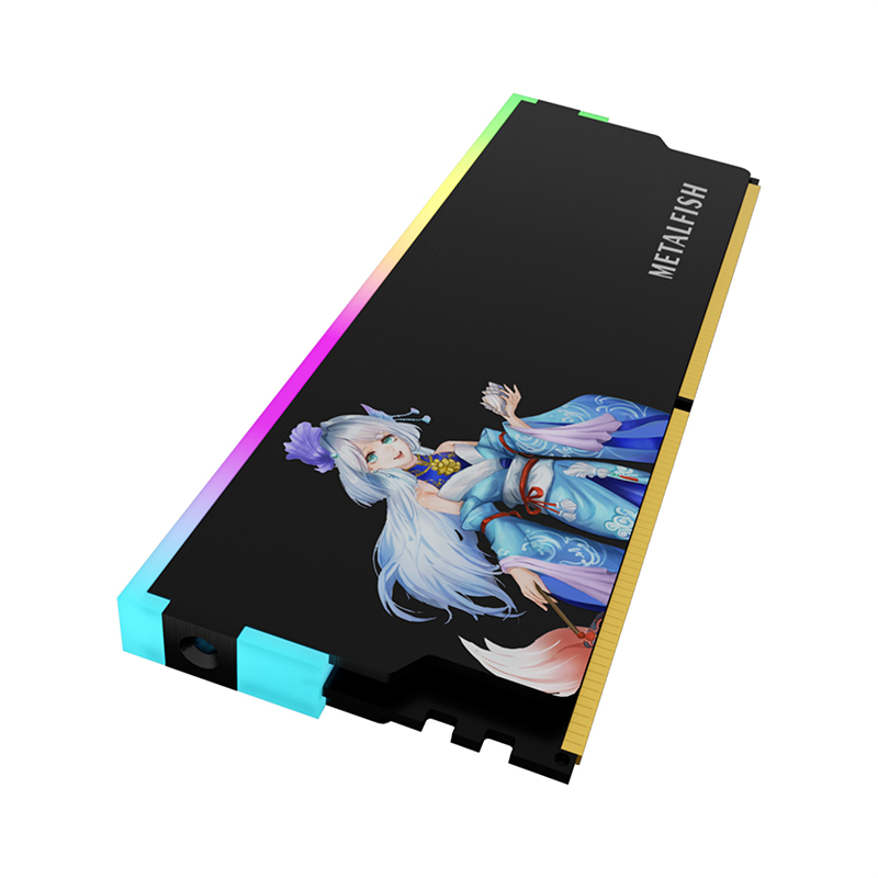 METALFISH DRAM dissipateur the - Ddr5 Rgb Ram avis et prix