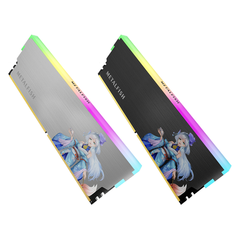 METALFISH DRAM dissipateur the - Ddr5 Rgb Ram avis et prix